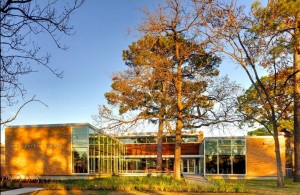 Oak Forest Neighborhood Library